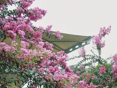 -杭州城北体育公园