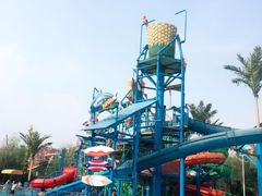 -杭州浪浪浪水公园