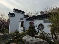 -无锡梅园公园