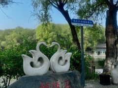 -石家庄极地海洋世界