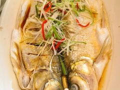清蒸白丝鱼-状元楼(金溪路店)