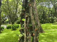 -云溪植物园