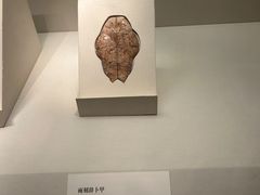 -中国国家博物馆