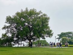 -东钱湖旅游度假区