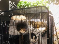-鹍记特色牛杂面