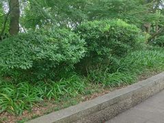 -普陀山风景名胜区-法雨禅寺
