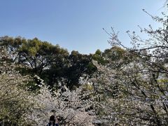-南山植物园