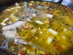 -鲜椒鱼·雅安地标性美食