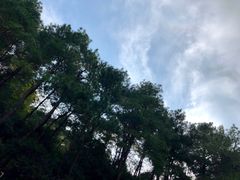-横山水库