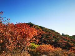 -北京西山国家森林公园