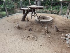 -呀路古热带植物园