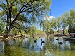 -北京野生动物园