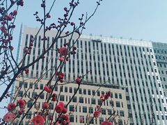 -山东大学(趵突泉校区)