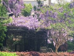 -上海虹桥迎宾馆