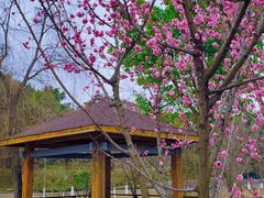 -沐仙湖湿地公园