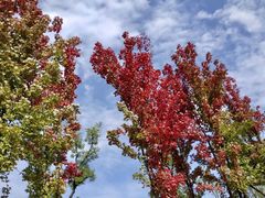 -白鹭湾湿地公园