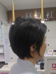 -镁连社·美联社