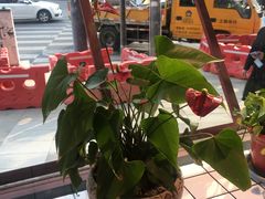 -蛙一刀·麻椒鱼火锅(金仙桥店)
