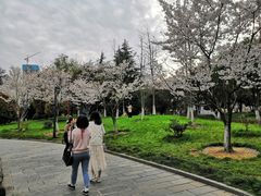 -堤角公园