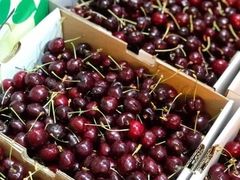 -江杨农产品批发市场