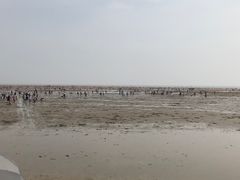 -刘家湾赶海园