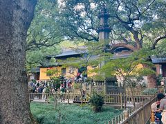 -普陀山风景名胜区-法雨禅寺