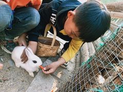 -西部长青自然儿童乐园