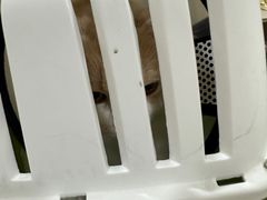 -荔康动物医院(康王北路店)