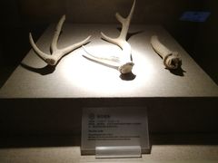 -南越王博物院(王宫展区)