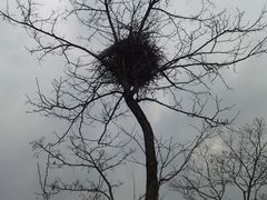 -崂山九水游览区