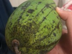 -三亚新鸿港水果一级批发市场