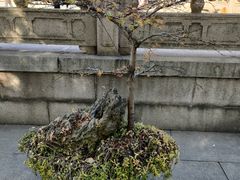 -西园寺素食(西园弄戒幢律寺店)
