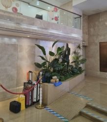 -广州曙光医学美容医院