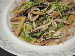 -曼格纳·曼芯馆(杨浦店)