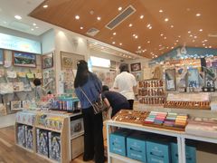 -猫的天空之城概念书店(印象城购物中心店)