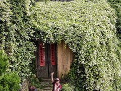 -杨家堂村