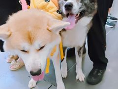 -乐乐餐厅(湘子庙街店)