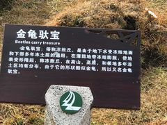 -芦芽山旅游度假区