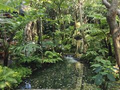 -Fern Forest Cafe