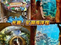 -长鹿旅游休博园