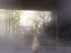 -杭州第一世界大酒店·云曼温泉