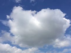 -人民防洪胜利纪念塔