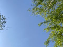 -东钱湖小普陀景区