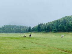 -苏州环秀晓筑养生度假村