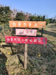 点击看大图 -前小桔亲子创意农场·草莓采摘·露营烧烤