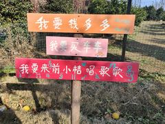 -前小桔亲子创意农场·草莓采摘·露营烧烤