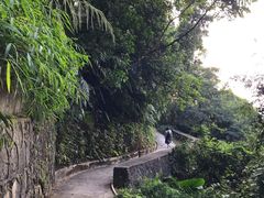 -广州市帽峰山景区