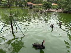 -广州动物园