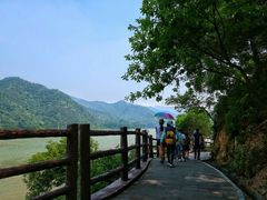 -羚羊峡古栈道森林公园