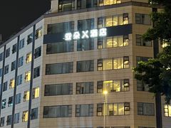 -成都宽窄巷子奎星楼街亚朵X酒店